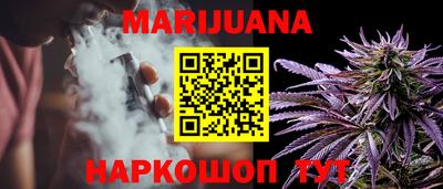 сатива Коммунар