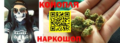сатива Коммунар