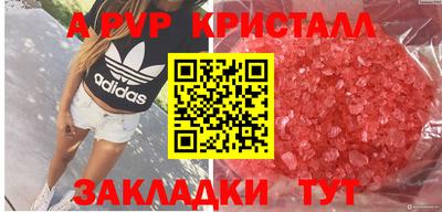 сатива Коммунар