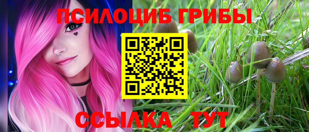 Галлюциногенные грибы Psilocybine cubensis  Вход с VPN  Кирово-Чепецк  Галлюциногенные грибы мухоморы 